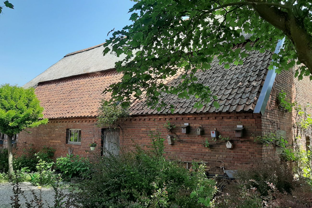 Faracha Buikdans, Bewustwording & Zijn studio in Weert 2