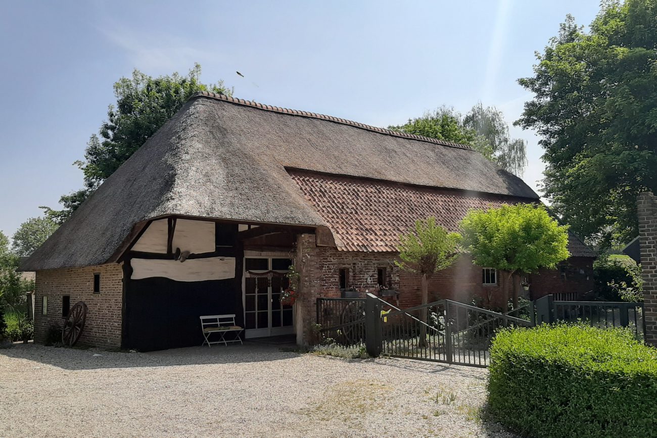 Faracha Buikdans, Bewustwording & Zijn studio in Weert 4