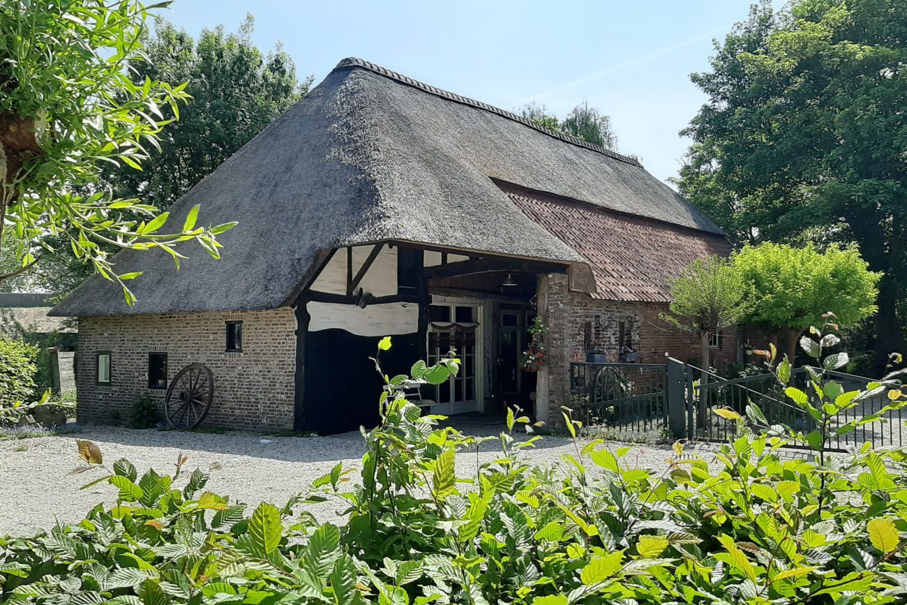Faracha Buikdans, Bewustwording & Zijn studio in Weert 5